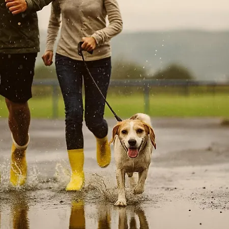 Bps #11 Flair Lägenhet Horb am Neckar